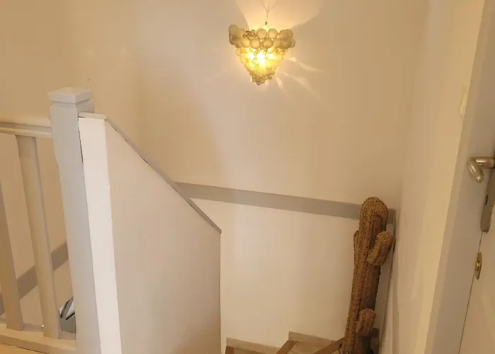 L'eau Des Oliviers *